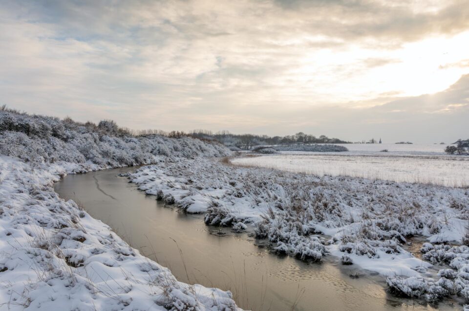 Épisode de neige dans les Polders